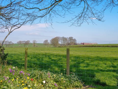 View from Kitchen window | Honeysuckle Cottage, Dreghorn, near Irvine