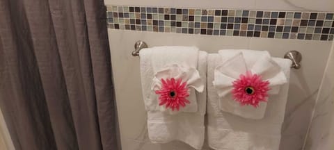 Combined shower/tub, towels, soap, toilet paper