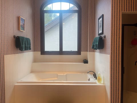 Combined shower/tub, jetted tub, hair dryer, towels