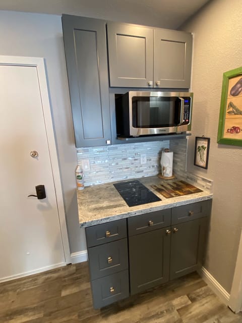 Convection/microwave and 2 burners on countertop