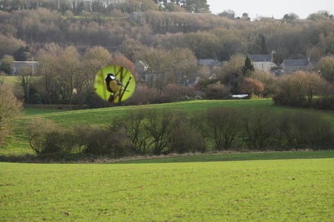 Ty Ar Pennduig and the hamlet of Kerbriant
