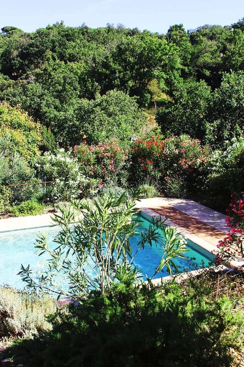 Outdoor pool, a heated pool, pool umbrellas