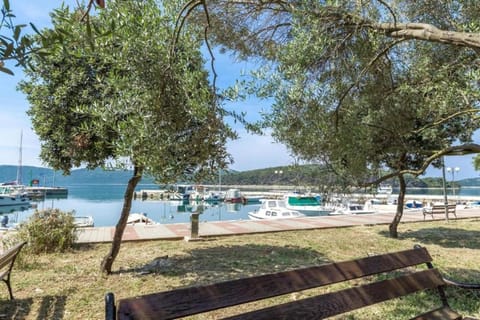 Immediate Surroundings [summer] (&lt;1 km)