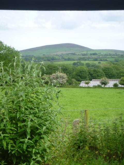 Sian hill from the Cabin's fire pit