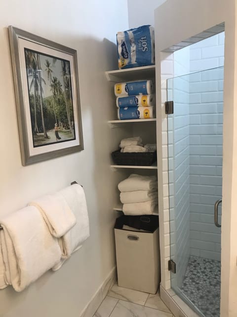 Shower, hair dryer, towels, toilet paper