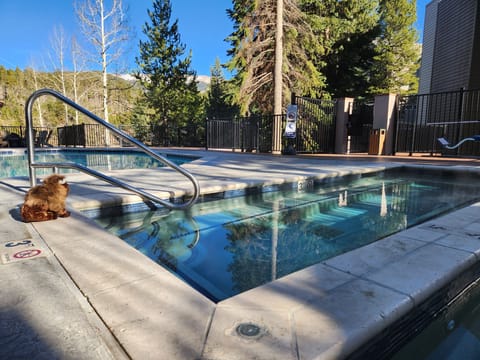 Indoor pool, a heated pool