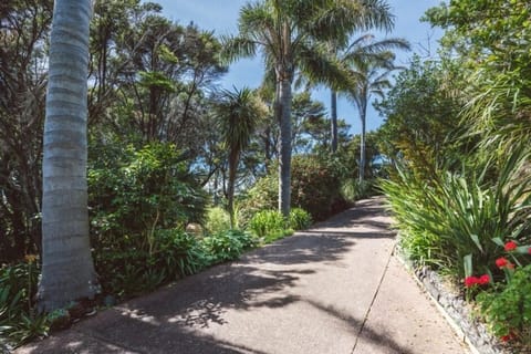 driveway looking up to the road