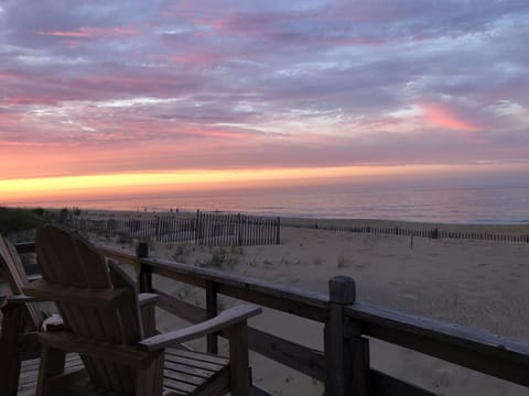 On the beach