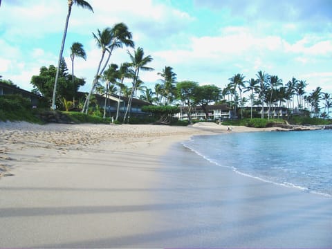 On the beach