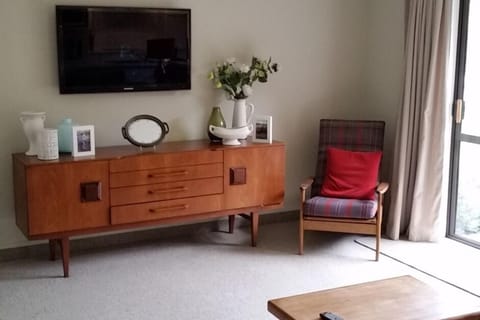 TV, fireplace, books, stereo