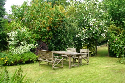 View of part of garden