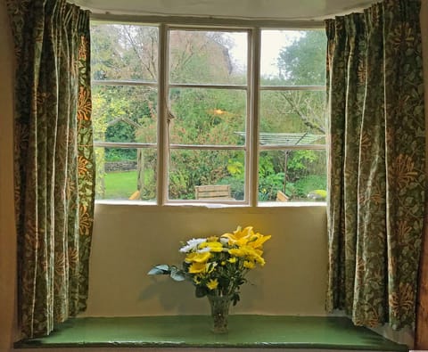 View of garden from dining room window