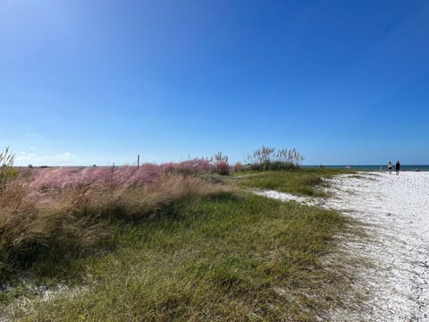 Beach nearby, sun loungers, beach towels