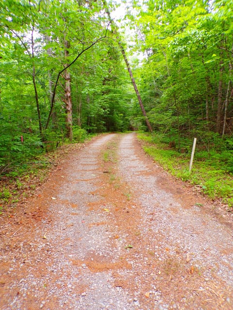 View of Main Driveway... No Neighbors in Sight!