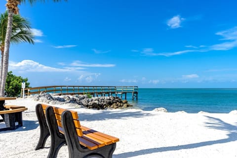 Sun loungers, beach towels