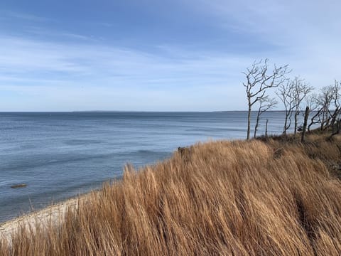 Beach nearby, sun loungers