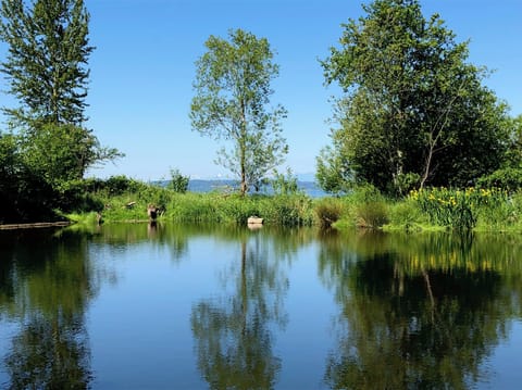 Golden Garden Ponds by Puget Sound...ten minute drive away.