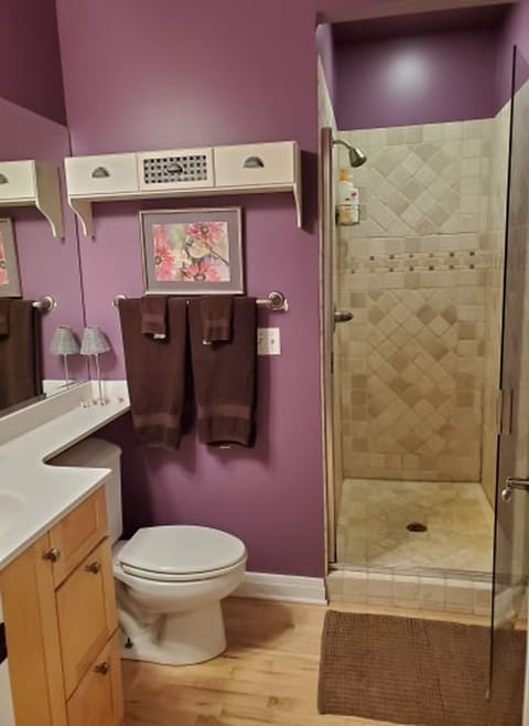 2nd bathroom and shower