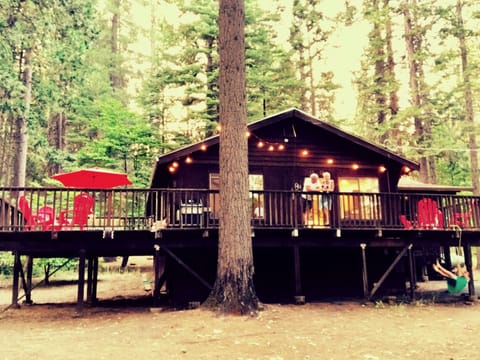 The Cabin!