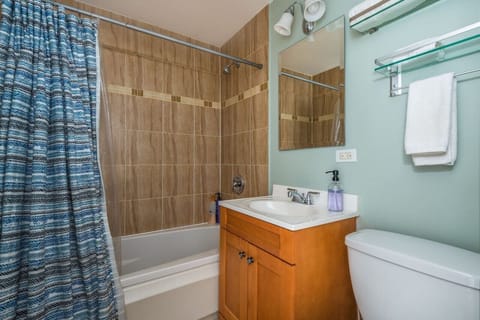 Combined shower/tub, hair dryer