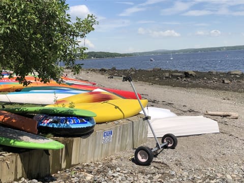 Sun loungers, beach towels