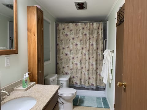 Bathroom 1 - attached to Bedroom 1