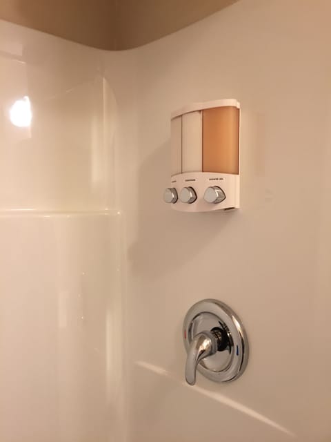 Combined shower/tub, hair dryer, towels, soap