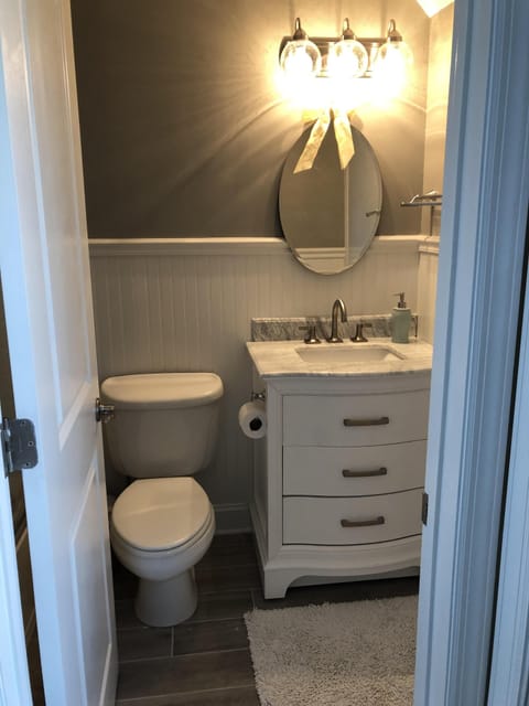 Combined shower/tub, hair dryer, toilet paper