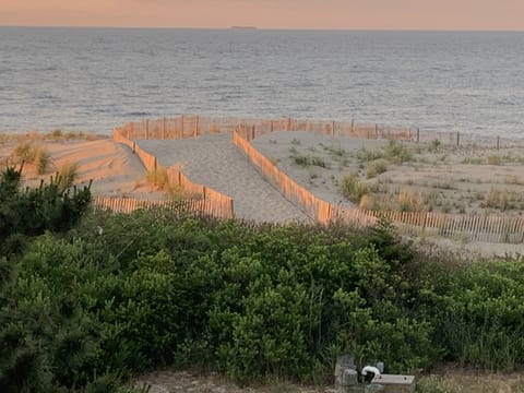 Beach nearby, sun loungers