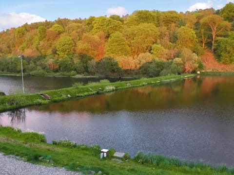Glorious views over Carribber Loch and the surrounding woodland | Carribber Beech, Near Linlithgow