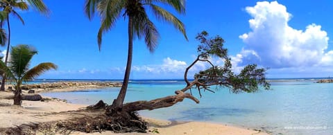 On the beach, sun loungers