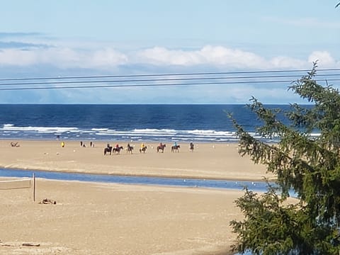 Beach nearby, sun loungers, beach towels