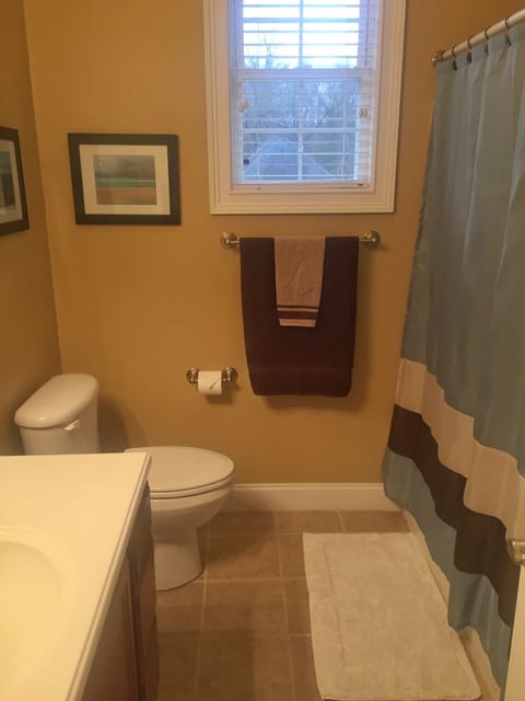 Combined shower/tub, jetted tub, hair dryer, towels