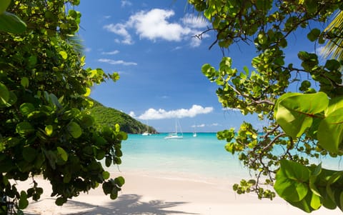 On the beach, sun loungers, beach towels