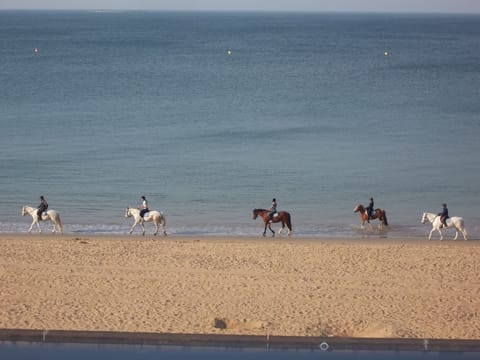 Beach nearby