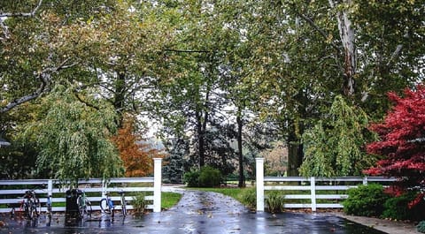 Come experience our "tucked away treasure".