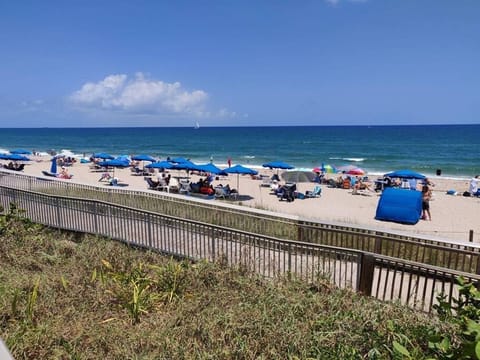 Beach umbrellas