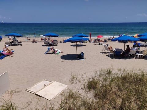 Beach umbrellas