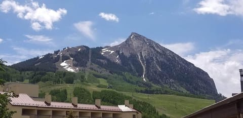 Crested Butte - summer