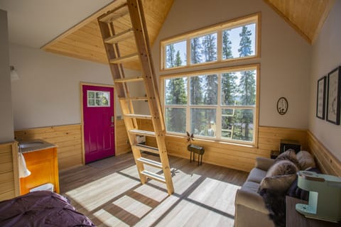 Alpenglow Ridge Salmon Cabin in Healy