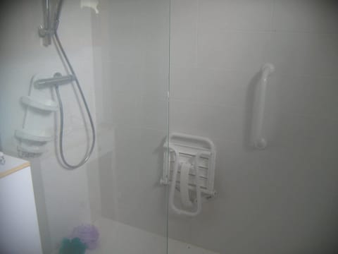 Shower, hair dryer, bidet, soap