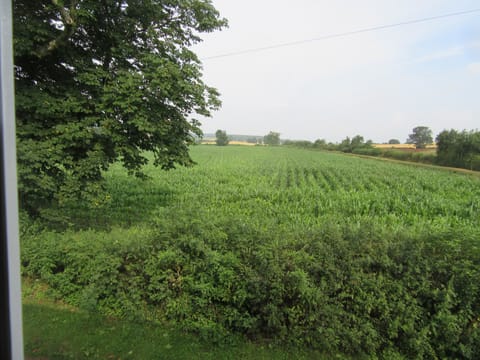 view from lounge window