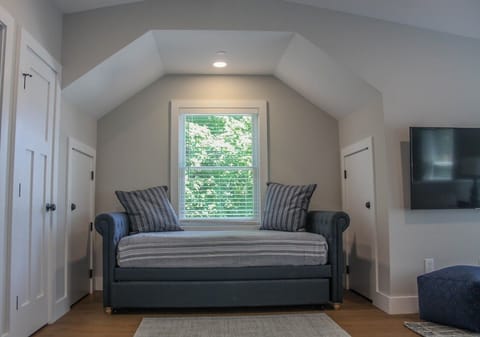 Smart TV, fireplace, books