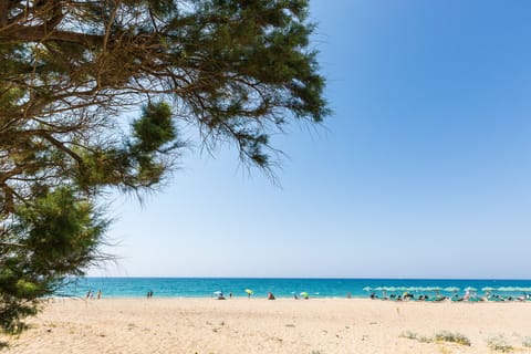 On the beach