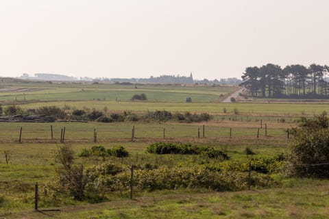 View of landscape from holiday apartment Wiese & Watt