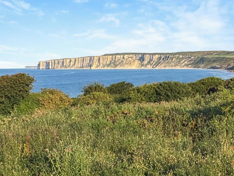 Surrounding area | The Bolthole - The Bay, Filey, near Scarborough