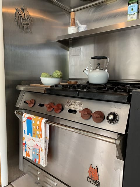 Professional-grade Wolf Range