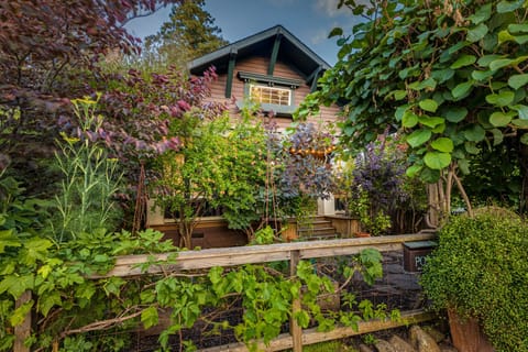 The Roost in full bloom!