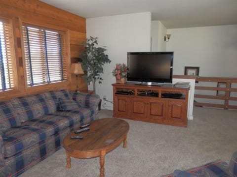 TV, fireplace, DVD player