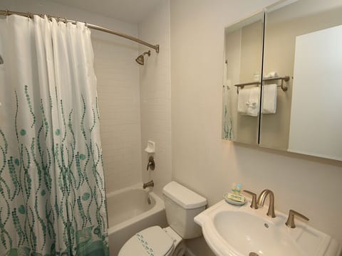 Combined shower/tub, hair dryer, towels